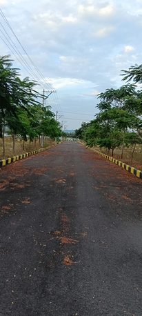 Hyderabad, Residential Plots, INR 12000,  125 Sq. Yard,  125 SQ YARDS WEST FACING ON 200FT NAGAR JUNA SAGAR HIGHWAY FACING VENTURE