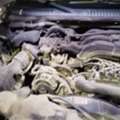 SAR 15000,  Ford Explorer,  2010,  Automatic,  270780 KM,    (White Color)