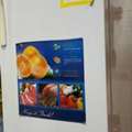 SAR 500,  Sofa, Bed, Refrigerator Etc