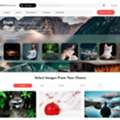 Professional Website Design Services | تصميم مواقع إلكترونية احترافية