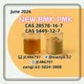 BM K 5449-12-7 Supplier High Purity 28578-16-7 PMK Bulk Chemicals 49851-31-2 1451-82-7