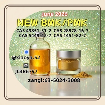 Berlin, Wholesale Products, CAS 28578-16-7/ Integrated Alongside B-MK CAS 5449-12-7