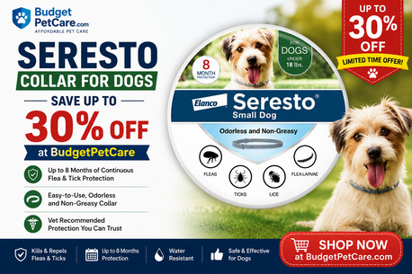 New York, Pet Supplies, USD 39,  Seresto Flea & Tick Collar For Dogs &ndash; Up To 30% Savings