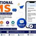 Why Promotional SMS Messages Are Essential For Business Success