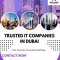 AED 5,  Best IT Companies In Dubai Shaping Tomorrow&rsquo;s Digital Business World