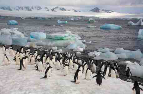 Mumbai, Travel, Ready For Antarctica? Contact CruiseBay Cruise Specialists Now