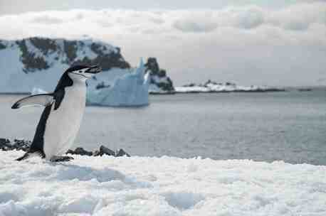 Mumbai, Travel, Ready For Antarctica? Contact CruiseBay Cruise Specialists Now