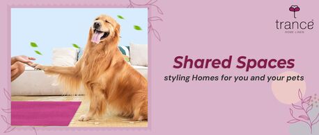 Mumbai, Household Items, INR 100,  All You Need To Style Homes For You And Your Pets