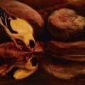 Commission Artists Near Me In Ottawa