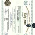 Pest Control & Housekeeping Supervisor