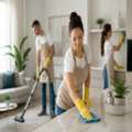 Professional Cleaning In Auckland For Homes & Offices