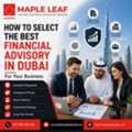 Financial Advisory Firms In Dubai: Need Expert Guidance?