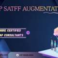 Hire SAP Consultants In Zimbabwe Smart Scale