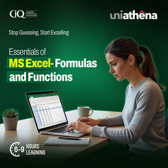 Nairobi, Lessons Offered, Master Excel From Basics To Practical Application | UniAthena