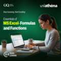 Master Excel From Basics To Practical Application | UniAthena