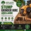 Reliable Stump Grinding Services By Adelaide Tree Removals