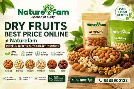 Faridabad, Business Partners, Dry Fruits Best Price Online At Naturefam &ndash; Premium Quality Nuts & Healthy Snacks