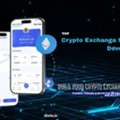 Discover The Top Crypto Exchange Script Development Companies In USA For Your Next Crypto
