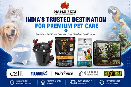Mumbai, Pet Supplies, Premium Catit Smart Pet Supplies Online India | Maple Pet