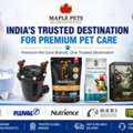 Premium Catit Smart Pet Supplies Online India | Maple Pet