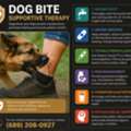 Supportive Therapy For Dog Bite Victims