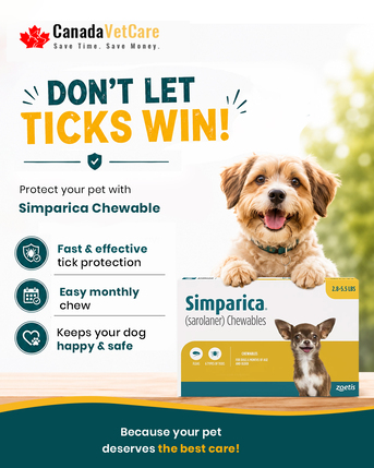 New York, Pet Supplies, USD 35,  Buy Simparica Chewables For Dogs - 20% OFF + Free Shipping | CanadaVetCare