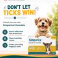 USD 35,  Buy Simparica Chewables For Dogs - 20% OFF + Free Shipping | CanadaVetCare