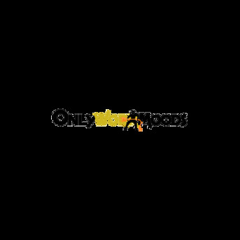 Noida, Business, OnlyWorkMoods Com: The Ultimate Platform For Work Motivation, Productivity, And Profession