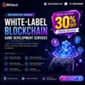 Enterprise-Grade White-Label Blockchain Game Development Services &ndash; 30% OFF