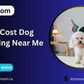 Low Cost Dog Grooming Near Me | Affordable Pet Care By Petgroom