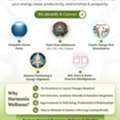 Is Your Space Silently Affecting Health, Productivity & Prosperity?