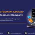 Crypto Payment Gateway Development Services
