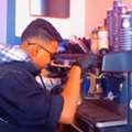 Barista
