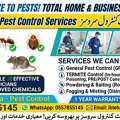 Best Pesticide Company In Riyadh 0557855145