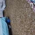 SAR 500/month,  Exacutive Bed Space Available ( Only Pakistani )