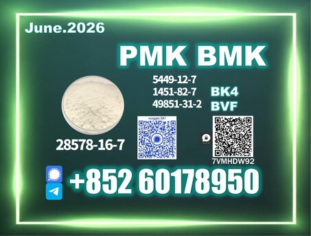 The Hague, Health & Beauty Items, Usd 280,  CAS 28578-16-7 New PM.K B.MK Efficient Export Process