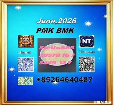 Hong Kong, Materials, CNY 100,  Good Service Cas 28578-16-7 PM.K And Cas 5449-12-7 BM-K Best Price