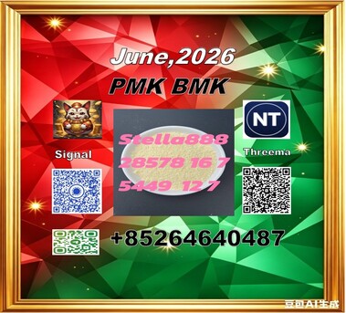 Hong Kong, Free Items, CNY 100,  FACTORY SUUPLY Cas 28578-16-7 PM-K And Cas 5449-12-7 BM.K /49851-31-2