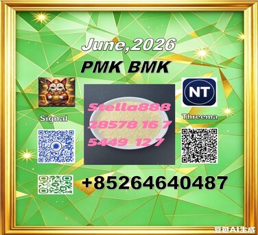 Hong Kong, Free Items, CNY 100,  Buy Low Price Cas 28578-16-7 P.MK And Cas 5449-12-7 B.MK Big Factory
