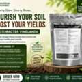 35,  Low Soil Fertility? Boost Crop Growth Naturally With Azotobacter Vinelandii &ndash; Order Now