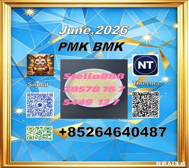 Hong Kong, Materials, CNY 100,  P.MK Cas 28578-16-7and BM.K 5449-12-7 Low Price/49851-31-2