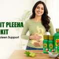 Pet Yakrit Pleeha Shuddhi Kit &ndash; Natural Liver & Spleen Support