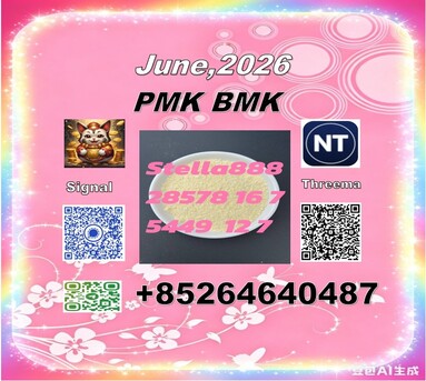 Hong Kong, Free Items, CNY 100,  Supply China Reliable Supplier PM.K CAS 28578-16 -7/ 49851-31-2