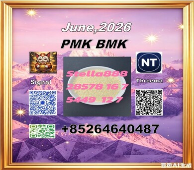 Hong Kong, Free Items, CNY 100,  CAS 5449-12-7 BM.K And Cas 28578-16-7 PM.K /New Product In Stock