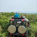 Mombasa Safaris: Coastal Gateway To Kenya's Greatest Wildlife Parks