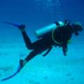 Diver (Duburi )