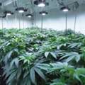 Duramax Grow Room Walls Ensure A Brighter And Cleaner Interior