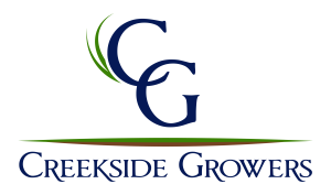 New York, Business, Choose A Reliable Sod Supplier Near Punta Gorda For Lawn Success