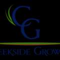 Choose A Reliable Sod Supplier Near Punta Gorda For Lawn Success