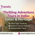 Best Adventure Tours In India: Golden Triangle & Safari